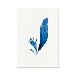 Indigo Seaweed Art Print | Dulse No.3 Seaweed Painting - Unframed