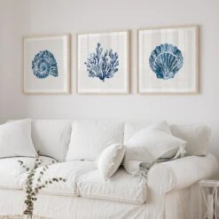 Indigo Scallop Shell Art Print | Watercolour Shell Art - Unframed 4 Indigo Scallop Shell Art Print | Watercolour Shell Art - Unframed -Beach House Art Indigox3Coral ShellHR 44fb98ad f80b 46a2 9572 6f38a392542c