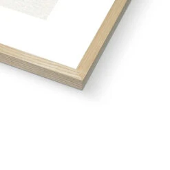 Ixia Yellow Emperor | Vintage Flower Print | Botanical Art - Framed -Beach House Art Ixia Yellow Emperor Vintage Flower Print Framed Print Fine art Beach House Art 1677407495