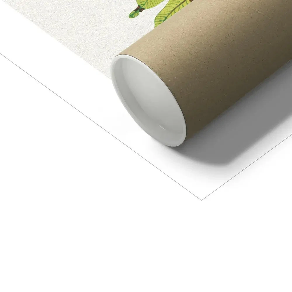 Lomaria Discolor Fern Print 8 | Vintage Botanical Art - Unframed Lomaria Discolor Fern Print 8 | Vintage Botanical Art - Unframed -Beach House Art Lomaria Discolor Fern Print 8 Fine Art Print Fine art Beach House Art 1677412220 645ab97d 311c 4e96 8075 881953942e88