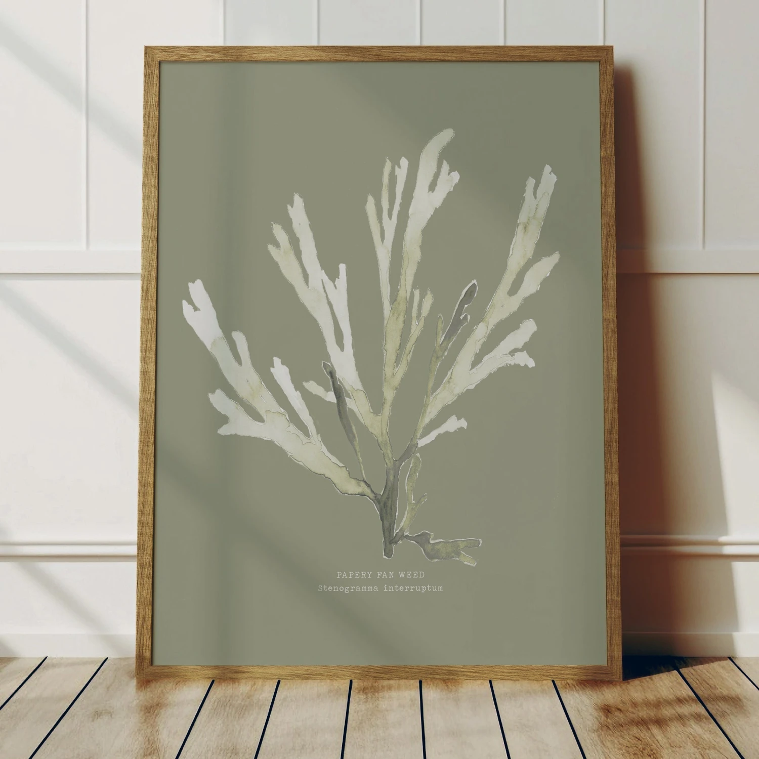 Olive Green Seaweed Art Print | Botanical Wall Decor | Papery Fan Weed - Framed Olive Green Seaweed Art Print | Botanical Wall Decor | Papery Fan Weed - Framed -Beach House Art Olive PFW 1