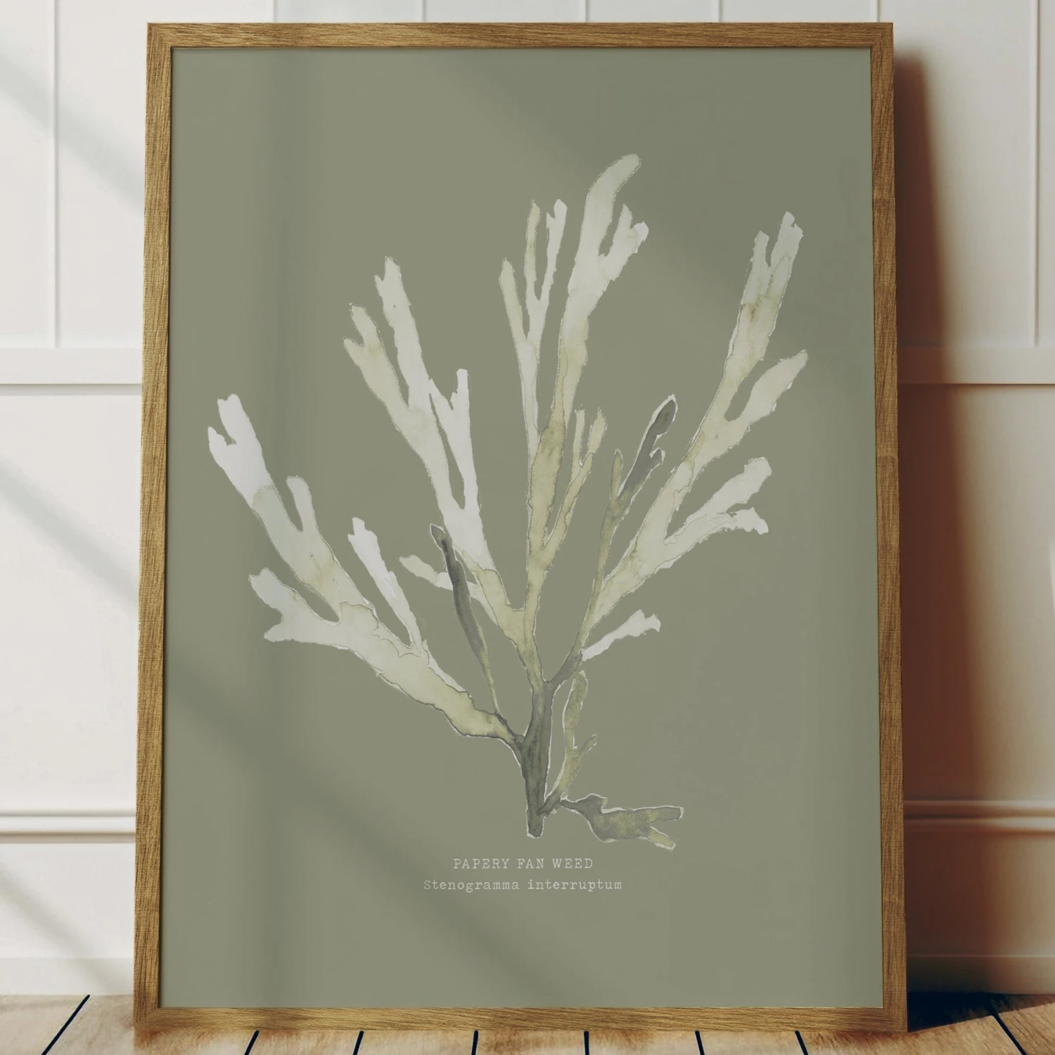 Olive Green Seaweed Art Print | Botanical Wall Decor | Papery Fan Weed - Unframed Olive Green Seaweed Art Print | Botanical Wall Decor | Papery Fan Weed - Unframed -Beach House Art Olive PFW