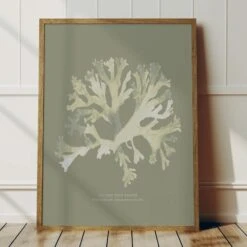 Olive Green Seaweed Art Print | Botanical Wall Decor | Stalked Leaf Bearer - Framed 4 Olive Green Seaweed Art Print | Botanical Wall Decor | Stalked Leaf Bearer - Framed -Beach House Art Olive SLB 1