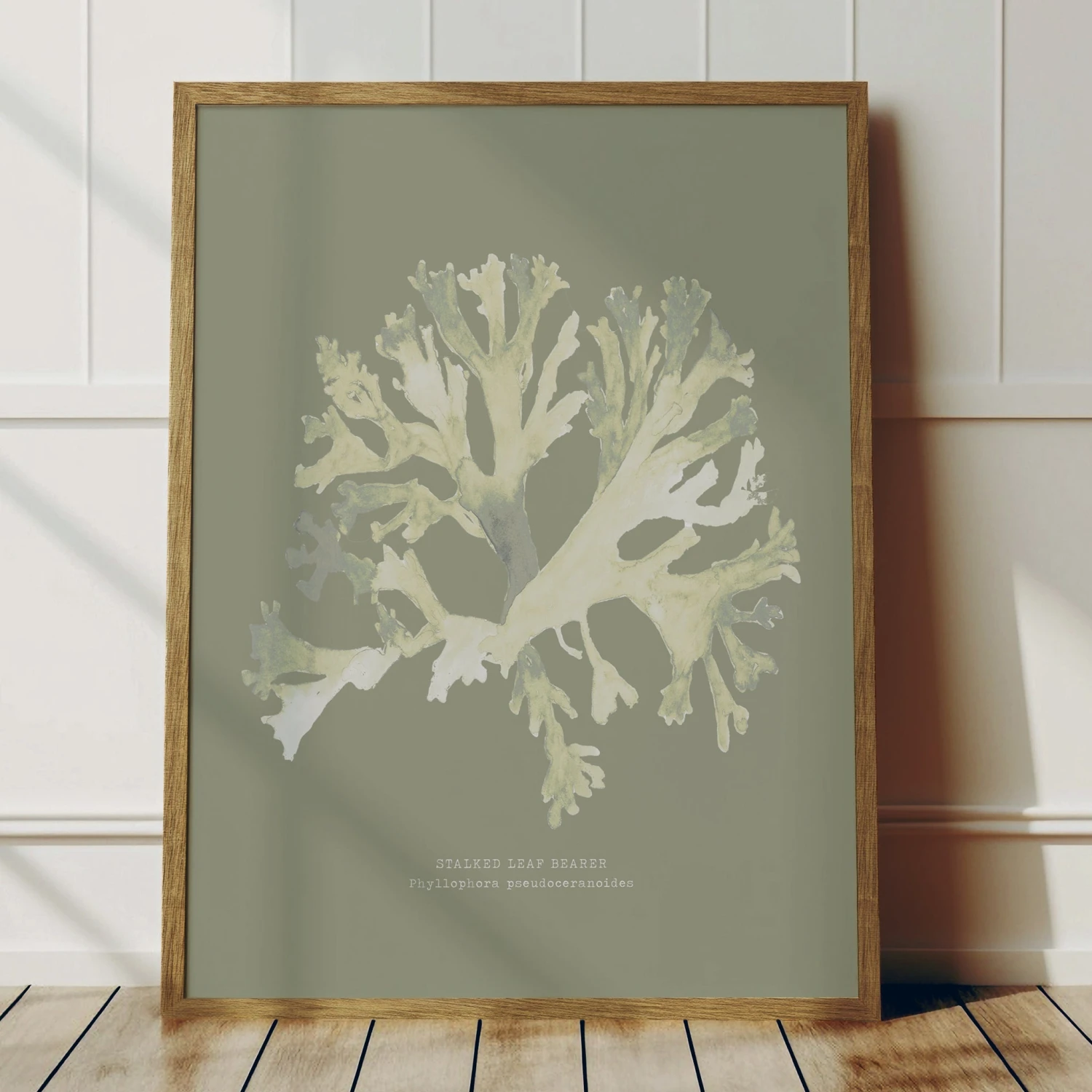 Olive Green Seaweed Art Print | Botanical Wall Decor | Stalked Leaf Bearer - Framed Olive Green Seaweed Art Print | Botanical Wall Decor | Stalked Leaf Bearer - Framed -Beach House Art Olive SLB 1