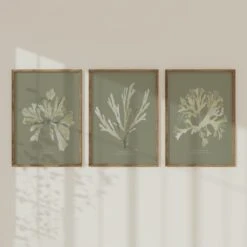 Olive Green Seaweed Art Print | Botanical Wall Decor | Papery Fan Weed - Framed 4 Olive Green Seaweed Art Print | Botanical Wall Decor | Papery Fan Weed - Framed -Beach House Art Olive set 1 4