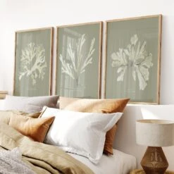 Olive Green Seaweed Art Print | Botanical Wall Decor | Papery Fan Weed - Unframed 6 Olive Green Seaweed Art Print | Botanical Wall Decor | Papery Fan Weed - Unframed -Beach House Art Olive set 2 2