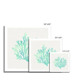 Opal Coral Art Print | Watercolour Shell Art Print - Unframed 6 Opal Coral Art Print | Watercolour Shell Art Print - Unframed -Beach House Art Opal Coral Fine Art Print Fine art Beach House Art 1676465275 67c00b30 fabf 4f19 b289 f41aff84e563