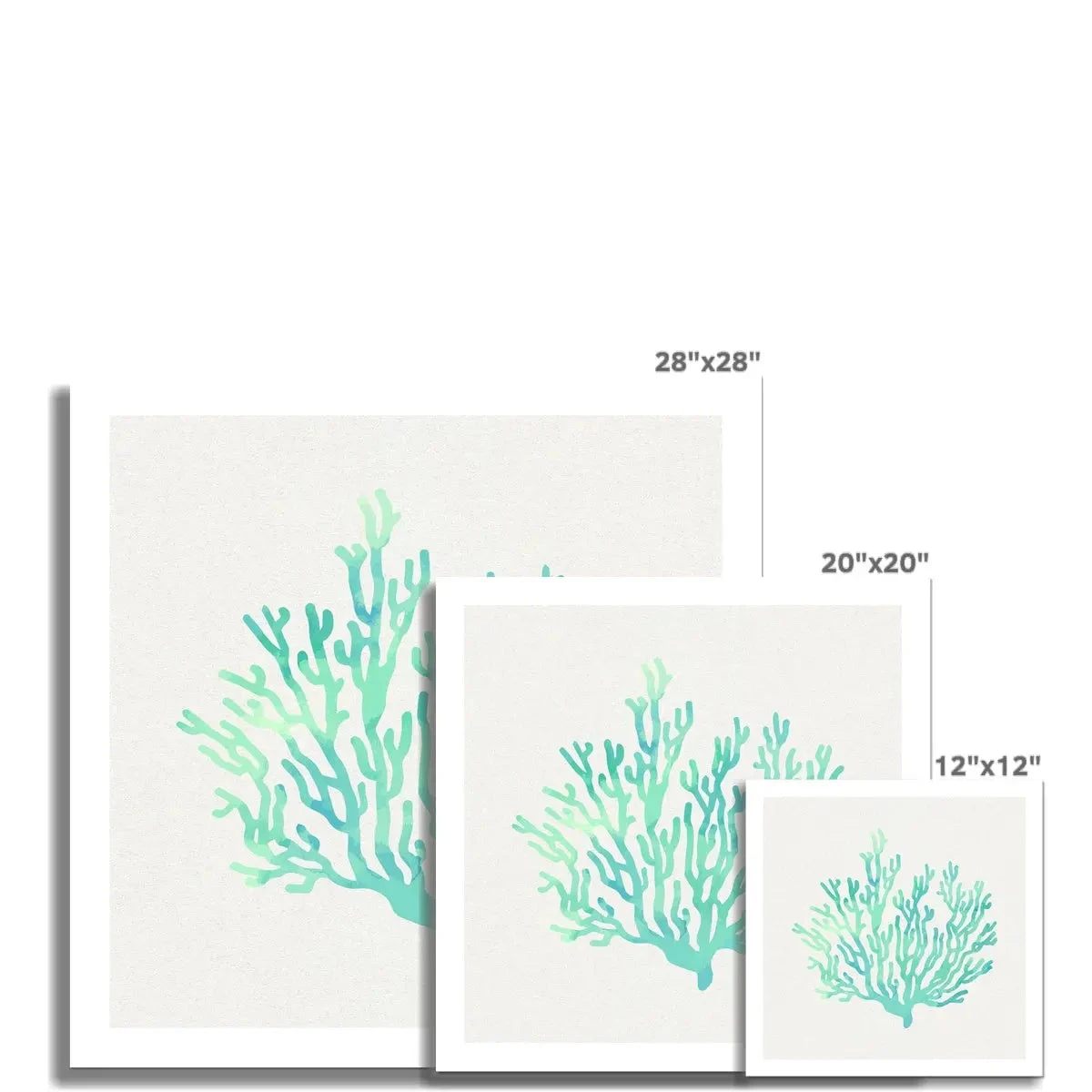 Opal Coral Art Print | Watercolour Shell Art Print - Unframed Opal Coral Art Print | Watercolour Shell Art Print - Unframed -Beach House Art Opal Coral Fine Art Print Fine art Beach House Art 1676465275 67c00b30 fabf 4f19 b289 f41aff84e563