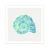 Opal Spiral Shell Art Print | Watercolour Shell Art - Unframed -Beach House Art Opal Spiral Shell Fine Art Print Fine art Beach House Art 1676465302 3382a6ae b8b4 4c6a b26c 468031e0d0a9
