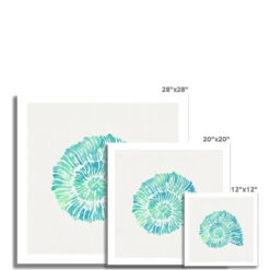 Opal Spiral Shell Art Print | Watercolour Shell Art - Unframed -Beach House Art Opal Spiral Shell Fine Art Print Fine art Beach House Art 1676465309 c0a2d3e2 fb8d 4384 8af5 b87fe718d0fb