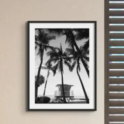 Palm Tree Lookout Black & White Palm Photography Print - Framed 5 Palm Tree Lookout Black & White Palm Photography Print - Framed -Beach House Art Palm Lookout Black White Photography Framed Home Garden Decor Artwork Posters Prints Visual Artwork Beach House Art 1664008645