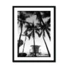 Palm Tree Lookout Black & White Palm Photography Print - Framed
