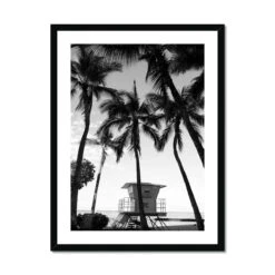 Palm Tree Lookout Black & White Palm Photography Print - Framed