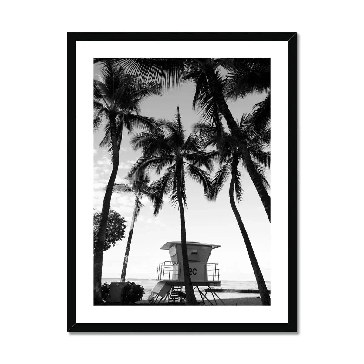 Palm Tree Lookout Black & White Palm Photography Print - Framed Palm Tree Lookout Black & White Palm Photography Print - Framed -Beach House Art Palm Lookout Black White Photography Framed Print Fine art Beach House Art 1663936562