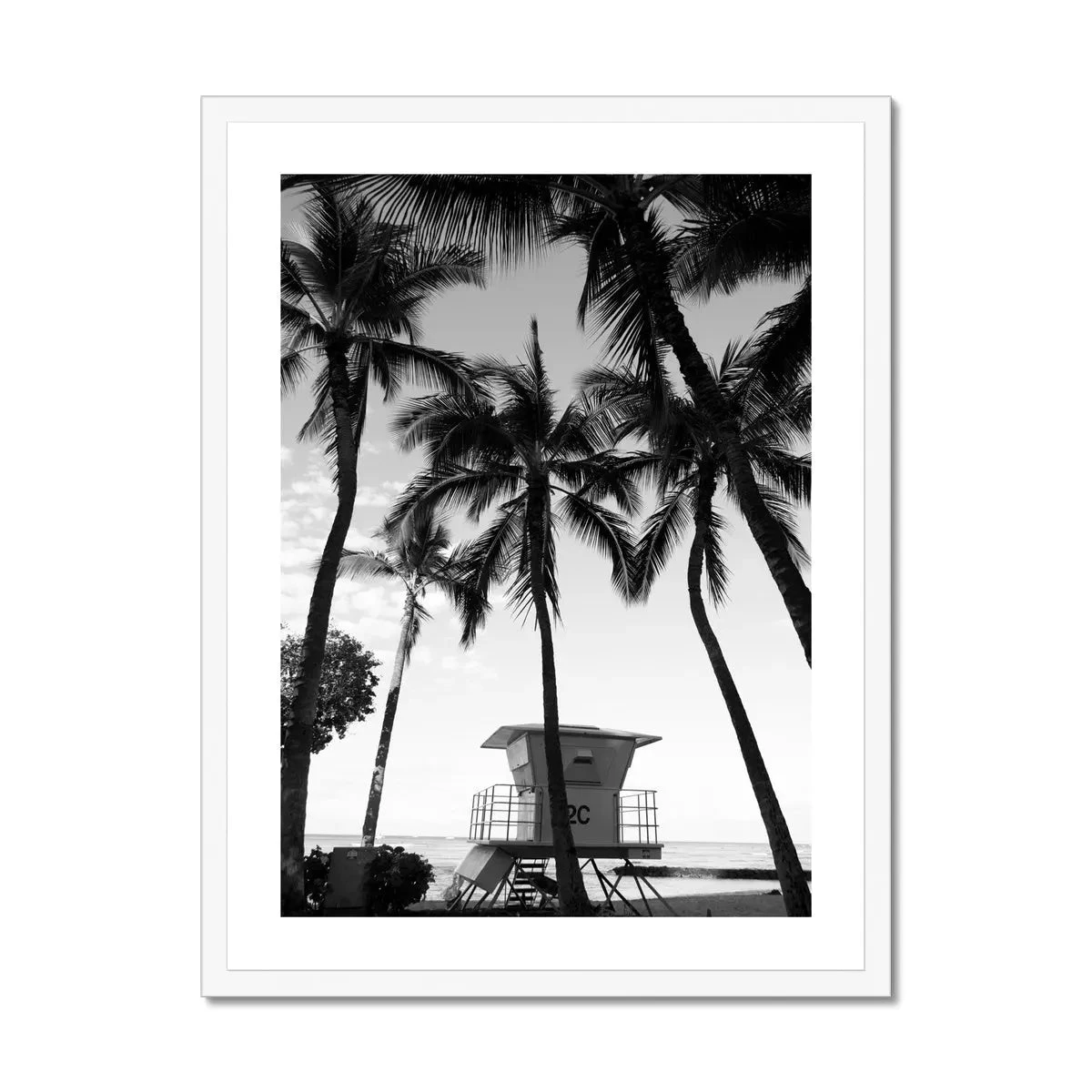 Palm Tree Lookout Black & White Palm Photography Print - Framed Palm Tree Lookout Black & White Palm Photography Print - Framed -Beach House Art Palm Lookout Black White Photography Framed Print Fine art Beach House Art 1663936566