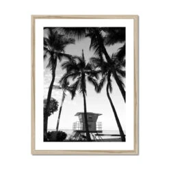 Palm Tree Lookout Black & White Palm Photography Print - Framed 4 Palm Tree Lookout Black & White Palm Photography Print - Framed -Beach House Art Palm Lookout Black White Photography Framed Print Fine art Beach House Art 1663936569