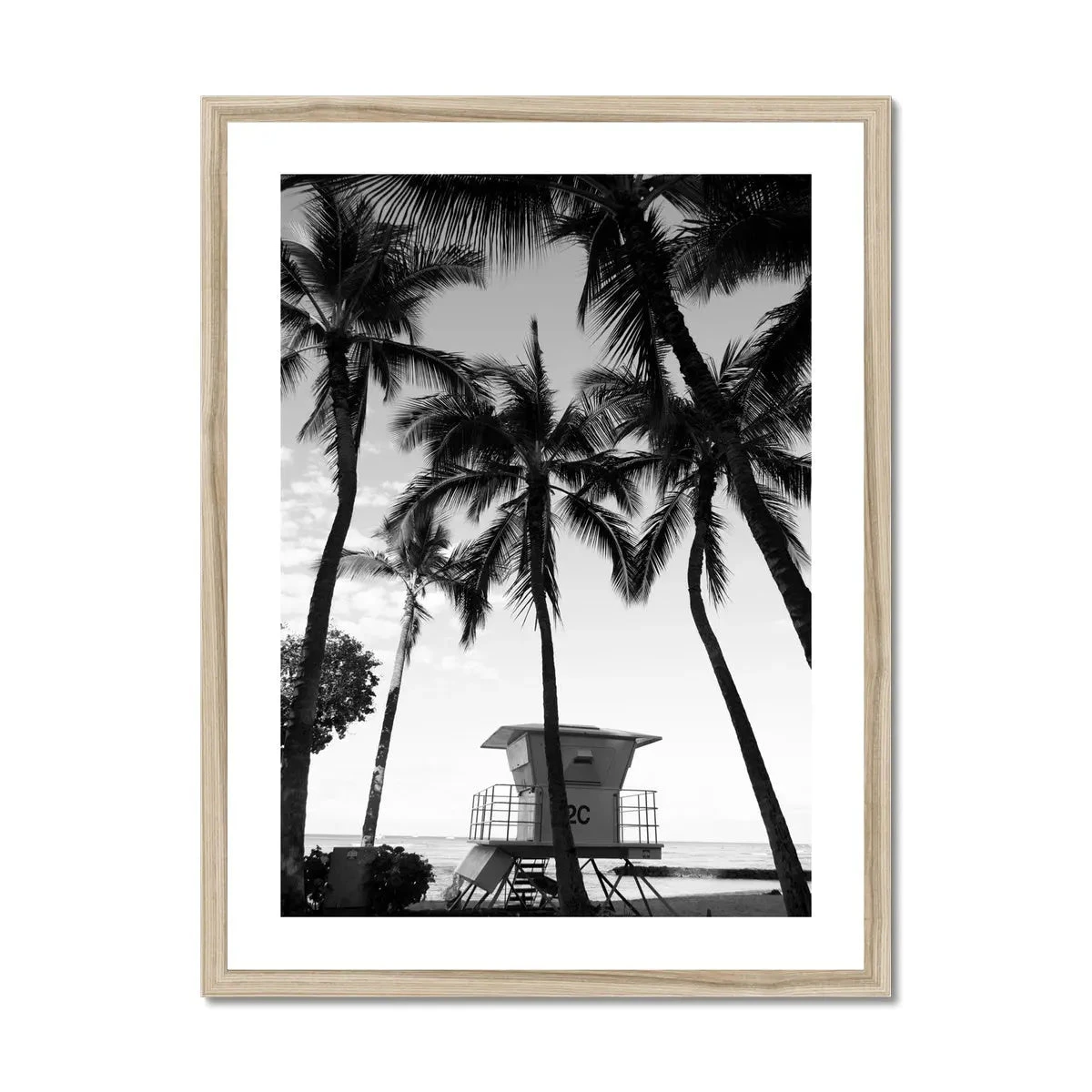 Palm Tree Lookout Black & White Palm Photography Print - Framed Palm Tree Lookout Black & White Palm Photography Print - Framed -Beach House Art Palm Lookout Black White Photography Framed Print Fine art Beach House Art 1663936569