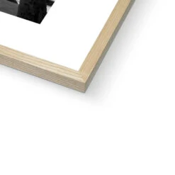 Palm Tree Lookout Black & White Palm Photography Print - Framed 9 Palm Tree Lookout Black & White Palm Photography Print - Framed -Beach House Art Palm Lookout Black White Photography Framed Print Fine art Beach House Art 1663936579