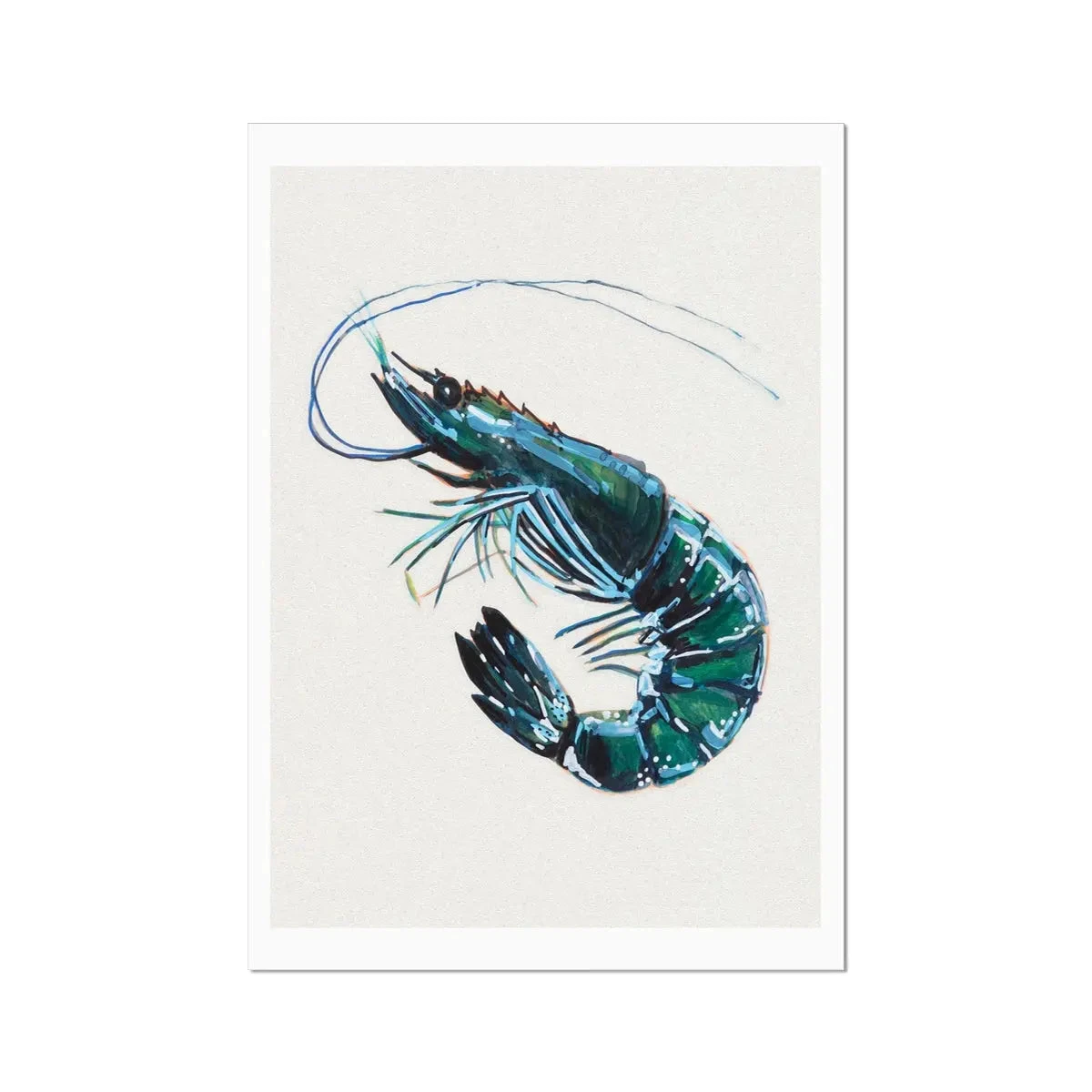 Prawn Painting Print | Watercolour Shellfish Art - Unframed Prawn Painting Print | Watercolour Shellfish Art - Unframed -Beach House Art Prawn Watercolour Shellfish Fine Art Print Fine art Beach House Art 1677249307 c223dab7 e9ab 4695 9e9b 472b95a40637