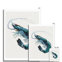 Prawn Painting Print | Watercolour Shellfish Art - Unframed 5 Prawn Painting Print | Watercolour Shellfish Art - Unframed -Beach House Art Prawn Watercolour Shellfish Fine Art Print Fine art Beach House Art 1677249314 02a70fd4 fd46 45bb bd26 8e58574ba6b9