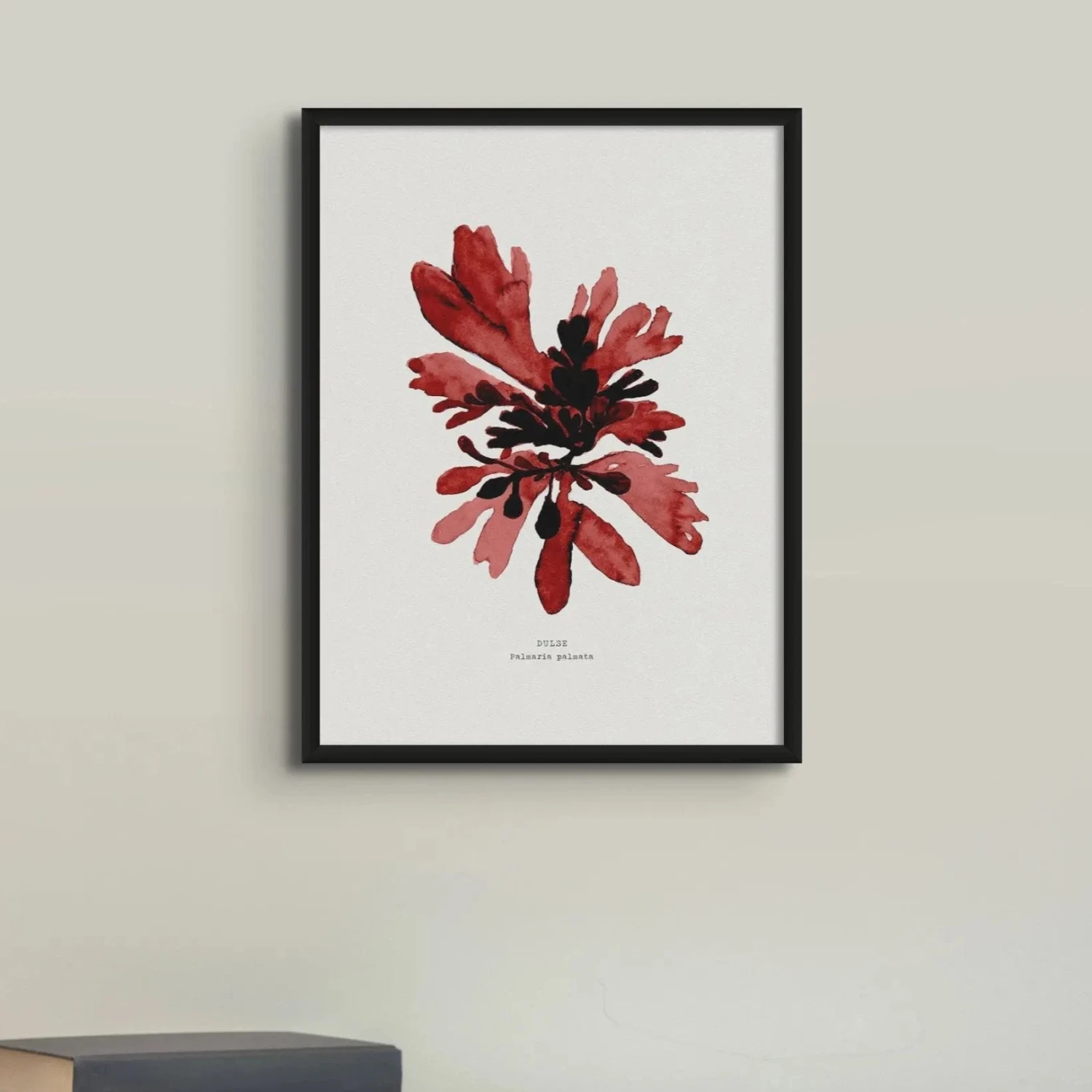 Watercolour Seaweed Print Wall Art (Dulse) - Unframed -Beach House Art Red Seaweed Print Wall Art Dulse Unframed Home Garden Decor Artwork Posters Prints Visual Artwork Beach House Art 1680098095 de1d04c7 a124 447d 80d2 24773154da55