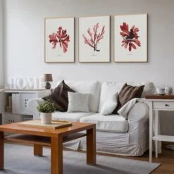 Watercolour Seaweed Print Wall Art (Dulse) - Unframed -Beach House Art Red Seaweed Print Wall Art Dulse Unframed Home Garden Decor Artwork Posters Prints Visual Artwork Beach House Art 1680098098 d08a3617 d625 4584 acb6 d65404c7bce4