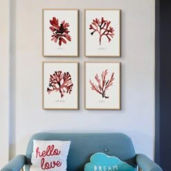 Watercolour Seaweed Print Wall Art (Dulse) - Unframed -Beach House Art Red Seaweed Print Wall Art Dulse Unframed Home Garden Decor Artwork Posters Prints Visual Artwork Beach House Art 1680098108 c49ace1b c7ba 4a9e 8ff7 1f72550aaca1