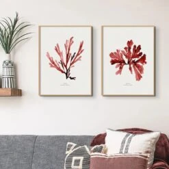 Watercolour Seaweed Print | Sea Oak Seaweed Painting - Unframed 4 Watercolour Seaweed Print | Sea Oak Seaweed Painting - Unframed -Beach House Art Red Seaweed Print Wall Art Sea Oak Unframed Home Garden Decor Artwork Posters Prints Visual Artwork Beach House Art 1680098057 a9359306 5584 4292 996b f4b522303e26