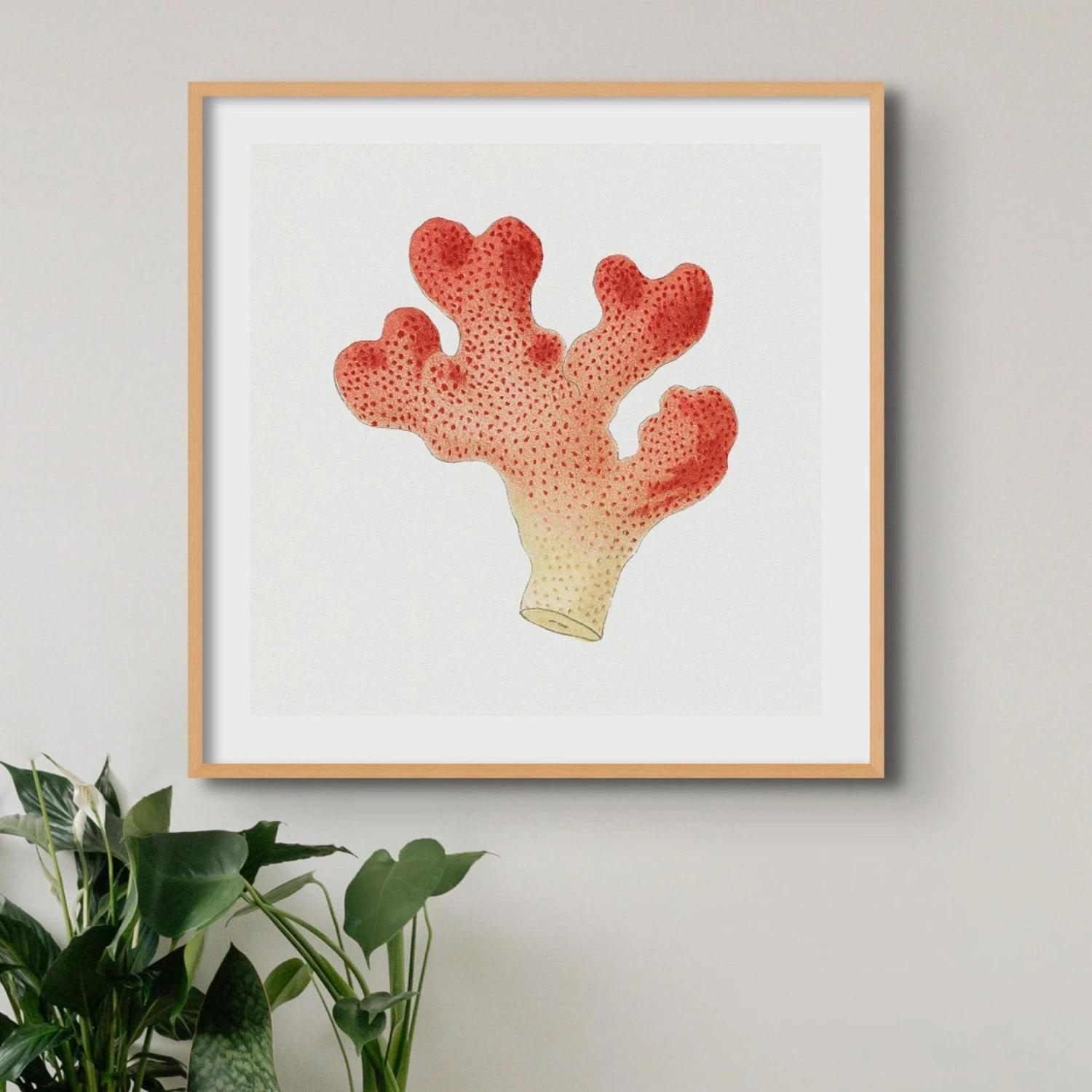 Reef Coral Print No 1 | Vintage Coral Wall Art - Unframed Reef Coral Print No 1 | Vintage Coral Wall Art - Unframed -Beach House Art ReefCoral1 d0bb3c1e 220c 4dcd ae74 99573f35a319