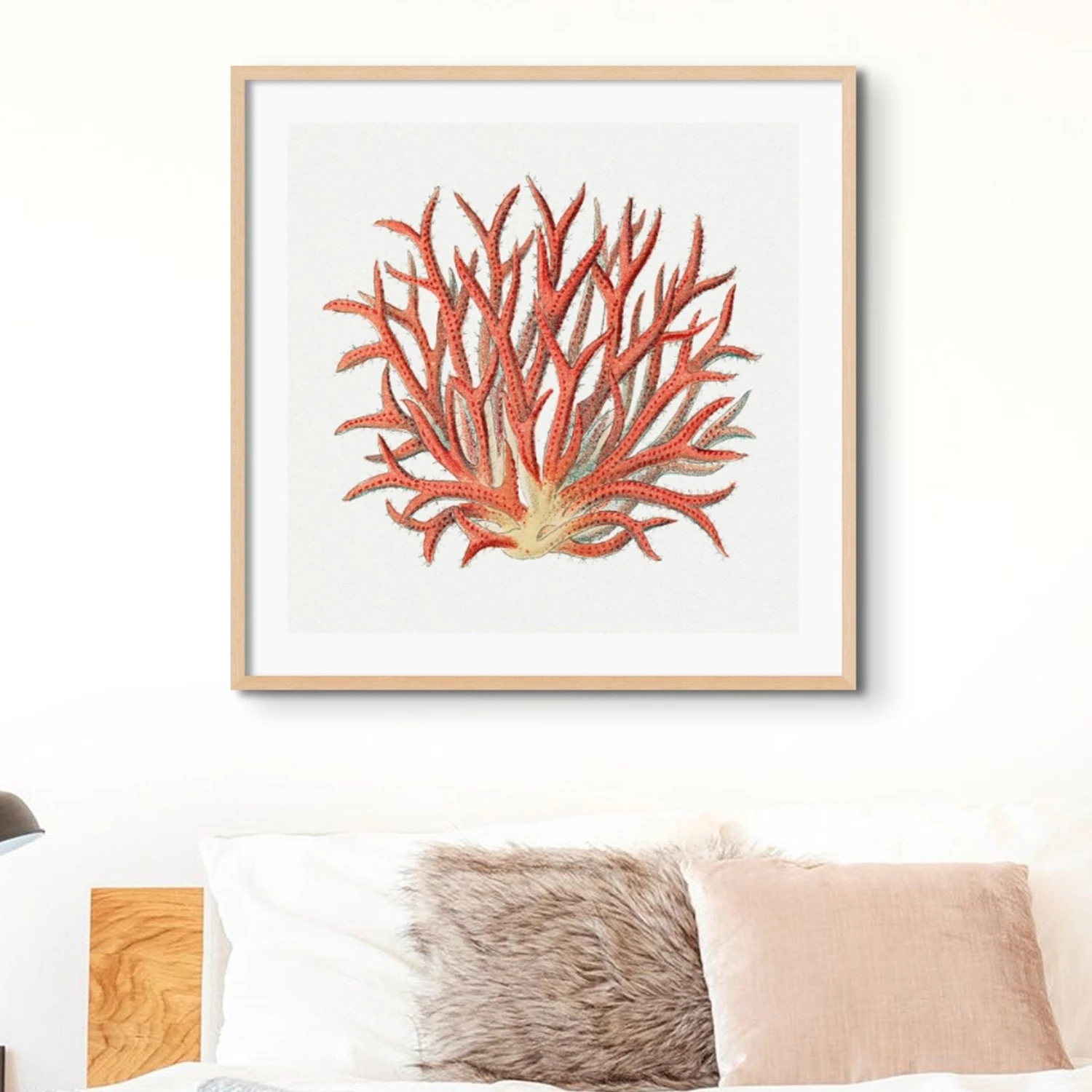 Reef Coral Print No 4 | Vintage Coral Art Print - Unframed Reef Coral Print No 4 | Vintage Coral Art Print - Unframed -Beach House Art ReefCoral4SQ 16514bf4 a9fb 4cb6 8081 2ce7656af639