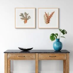 Reef Coral Print No 3 | Vintage Coral Wall Art - Unframed -Beach House Art ReefCoralx2 c1667795 e8e8 4186 8f02 5d02689876dc
