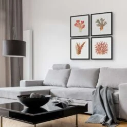 Reef Coral Print No 3 | Vintage Coral Wall Art - Unframed -Beach House Art ReefCoralx4.1 97c1d126 3b1f 4afe a7da 39bf4d16062d