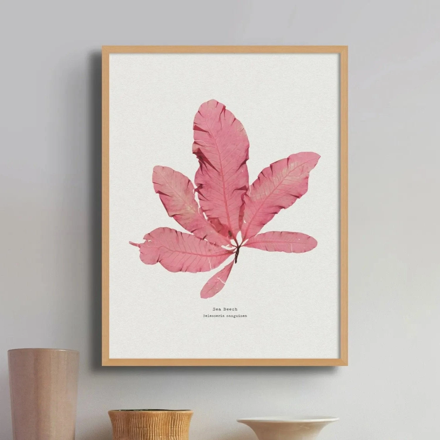 Sea Beech Pressed Seaweed Print |Seaweed Art - Unframed -Beach House Art Sea Beech Seaweed Print Unframed Home Garden Decor Artwork Posters Prints Visual Artwork Beach House Art 1661349947