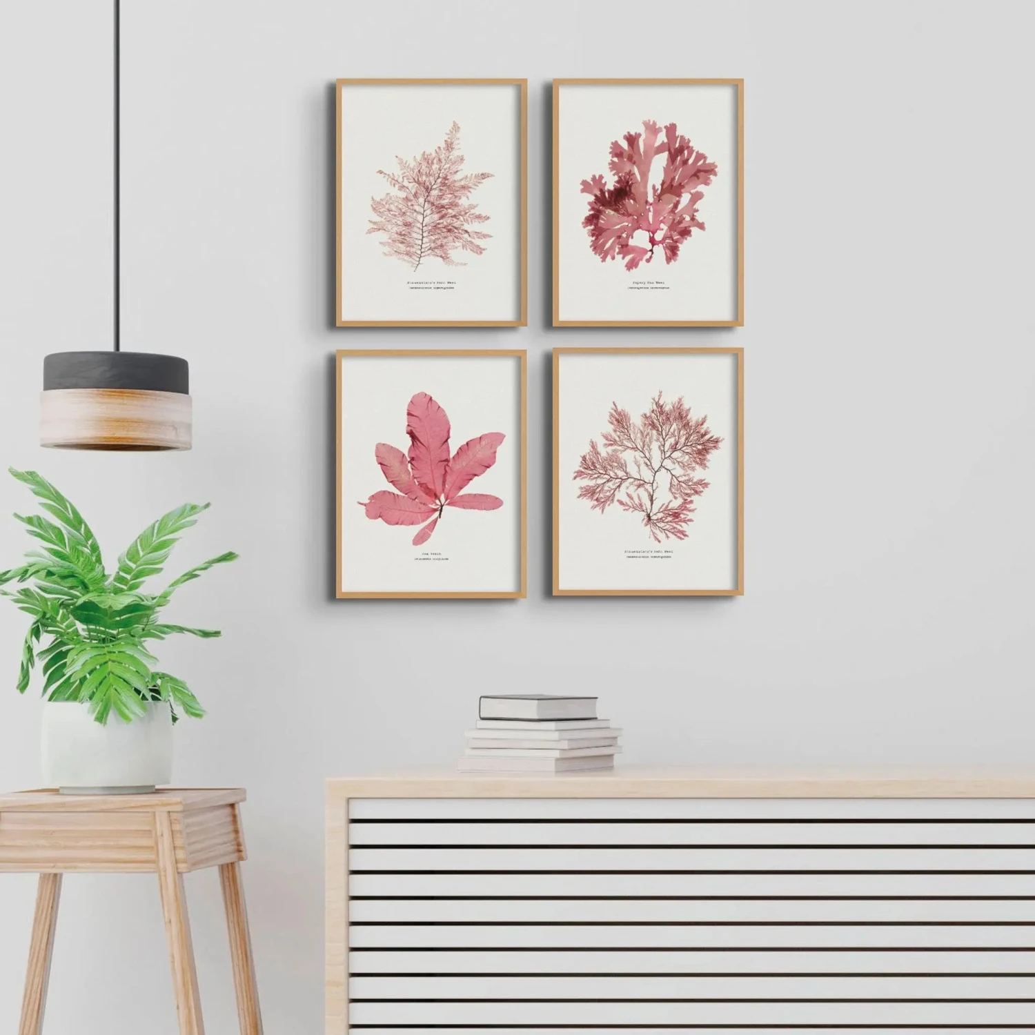 Sea Beech Pressed Seaweed Print |Seaweed Art - Unframed -Beach House Art Sea Beech Seaweed Print Unframed Home Garden Decor Artwork Posters Prints Visual Artwork Beach House Art 1661424704