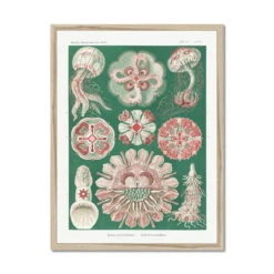 Sea Creatures (Green) - Framed Print
