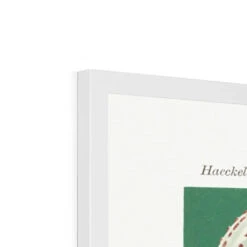 Sea Creatures (Green) - Framed Print -Beach House Art Sea Creatures Green Framed Print Wall Art Beach House Art 1650732746