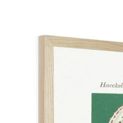 Sea Creatures (Green) - Framed Print -Beach House Art Sea Creatures Green Framed Print Wall Art Beach House Art 1650732749