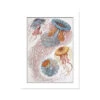 Sea Creatures Print | - Unframed Print
