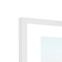 Sea Snake (Coral) - Framed Print -Beach House Art Sea Snake Coral Framed Print Wall Art Beach House Art 1650732828