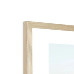 Sea Snake (Coral) - Framed Print -Beach House Art Sea Snake Coral Framed Print Wall Art Beach House Art 1650732830