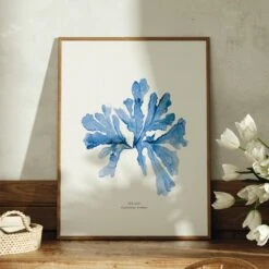 Indigo Seaweed Print | Seaweed Art (Sea Oak) - Unframed -Beach House Art SeaOakbotanicalpaintingonDesk