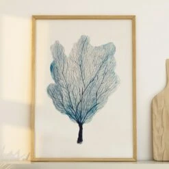 Beach House Art -Beach House Art Sea Fan 3