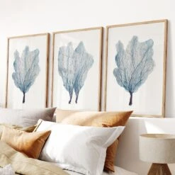 Sea Fan Watercolour Coral Painting | Coral Art | No 3 - Framed -Beach House Art Sea Fan Set 2 3