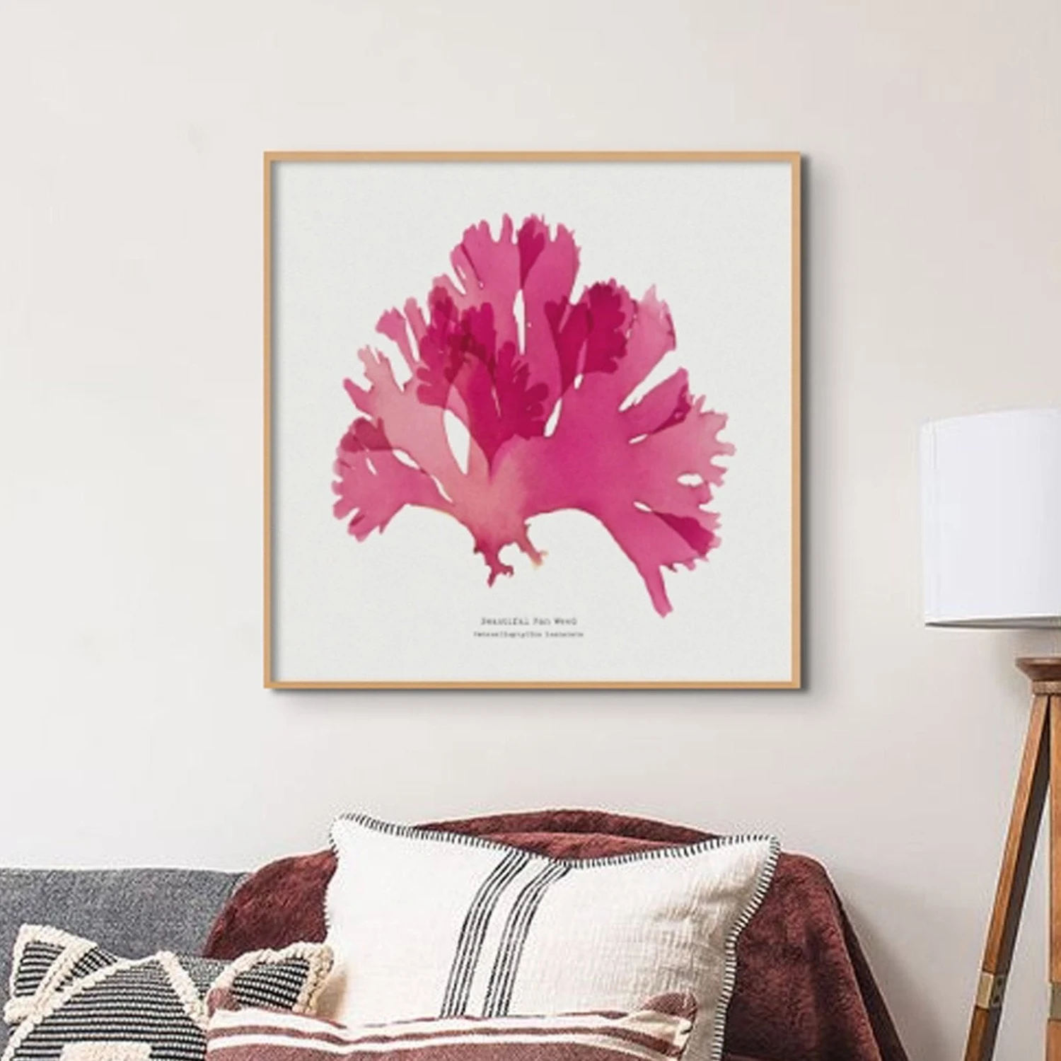 Beautiful Fan Weed No 2 Seaweed Print |Pressed Seaweed Art - Unframed Beautiful Fan Weed No 2 Seaweed Print |Pressed Seaweed Art - Unframed -Beach House Art SeaweedPrintWallArt BeautifulFanWeedNo2