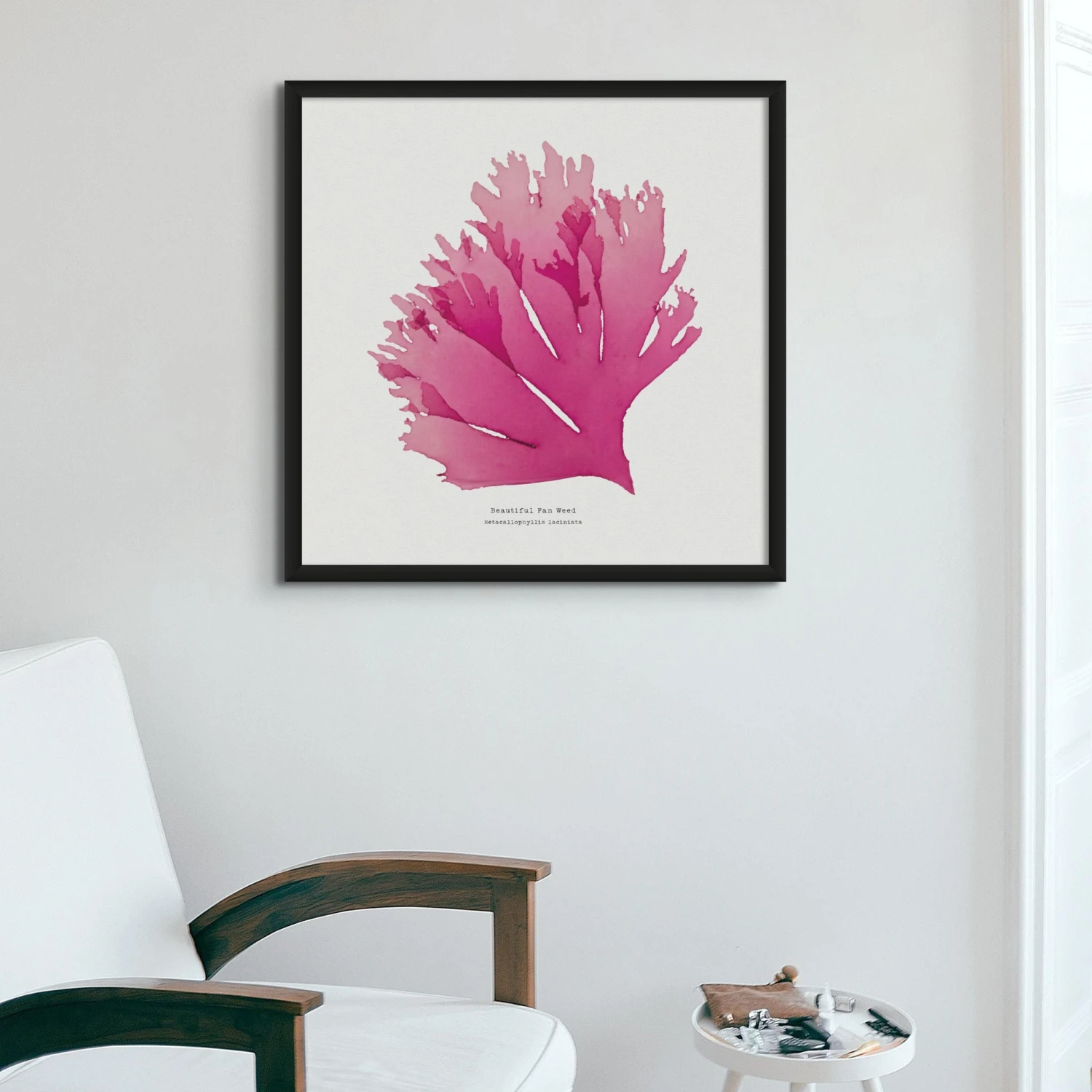 Beautiful Fan Weed No 1 Seaweed Print |Pressed Seaweed Art - Framed Beautiful Fan Weed No 1 Seaweed Print |Pressed Seaweed Art - Framed -Beach House Art SeaweedPrintWallArt SeaOakNo1 6b86f17a 3650 4996 9367 2474bc971abc