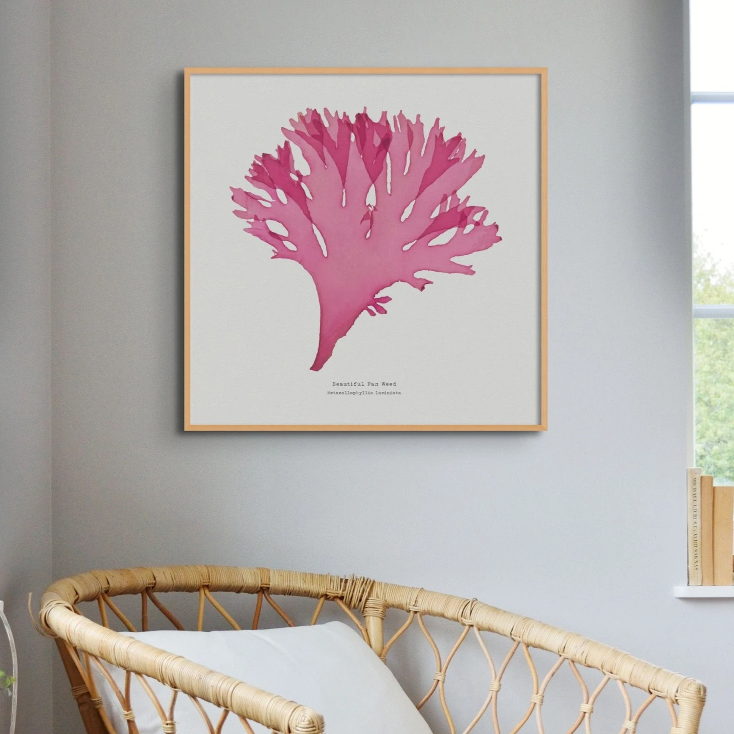 Beautiful Fan Weed No 3 Seaweed Print |Pressed Seaweed Art - Unframed Beautiful Fan Weed No 3 Seaweed Print |Pressed Seaweed Art - Unframed -Beach House Art SeaweedPrintWallArt SeaOakNo3 d0102588 9d99 4587 8353 ee3ae8dbc7e8