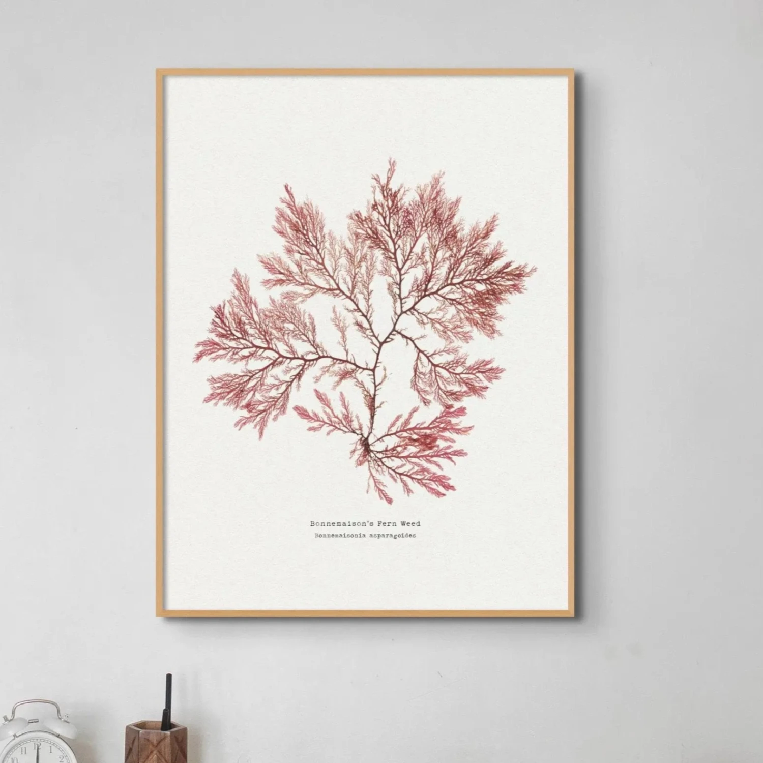 Seaweed Print | Pressed Seaweed Art (Fern Weed No2) - Unframed Seaweed Print | Pressed Seaweed Art (Fern Weed No2) - Unframed -Beach House Art Seaweed art print no2 pressed seaweed art