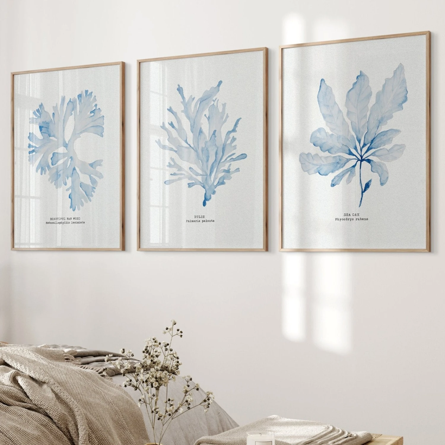 Blue Watercolour Seaweed Art Print | Sea Oak Seaweed Painting - Framed Blue Watercolour Seaweed Art Print | Sea Oak Seaweed Painting - Framed -Beach House Art Set 1 3