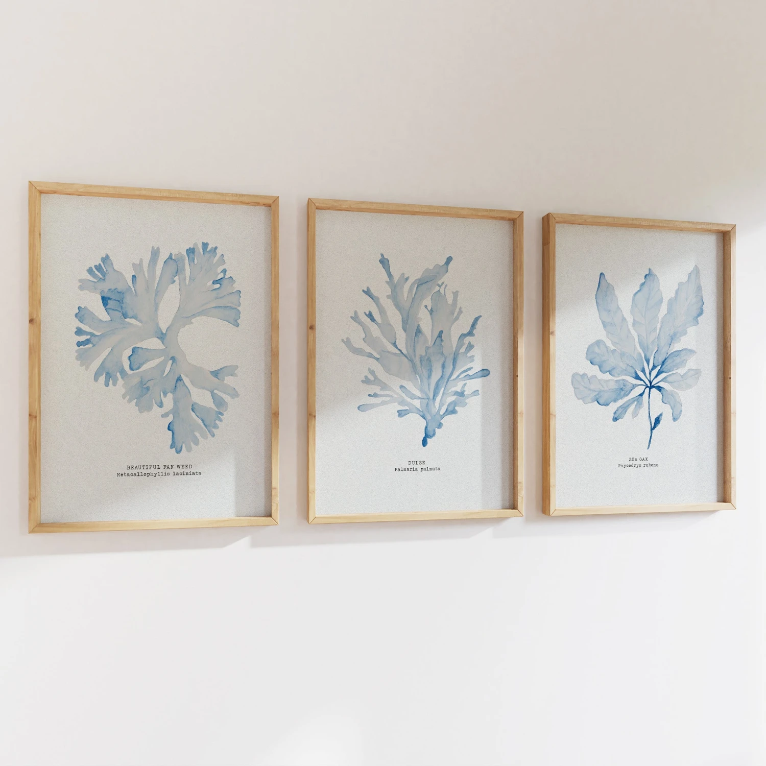 Blue Watercolour Seaweed Art Print | Sea Oak Seaweed Painting - Framed Blue Watercolour Seaweed Art Print | Sea Oak Seaweed Painting - Framed -Beach House Art Set 2 3