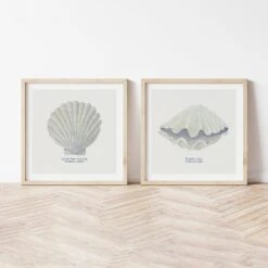 Hand-painted Scallop Shell Art Print | Natural Background - Unframed -Beach House Art Set of 2 scallop clam 92db8556 c1c1 43a8 b1c9 8d295c4f47de